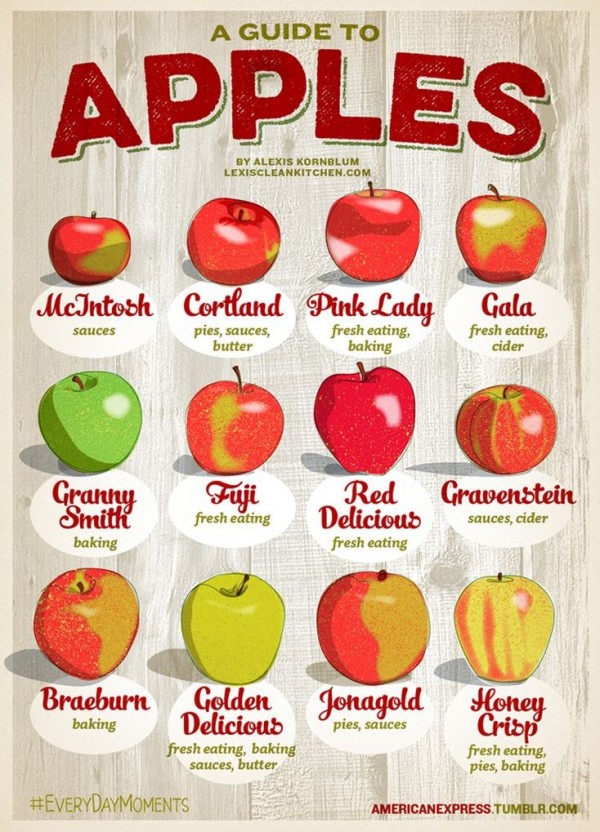 Признаки зрелости яблок — Когда их можно есть