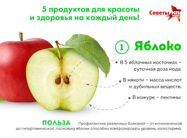 Признаки зрелости яблок — Когда их можно есть