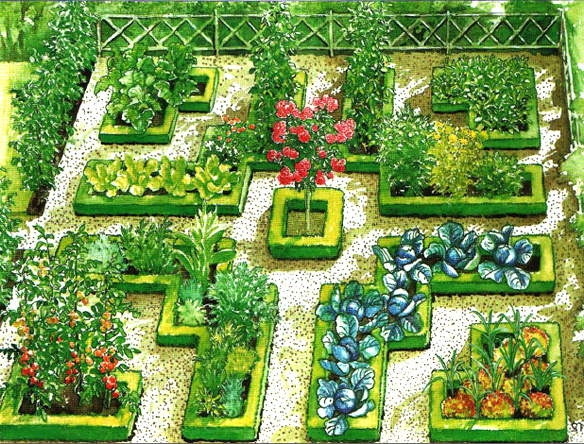 Как создать красивый огород