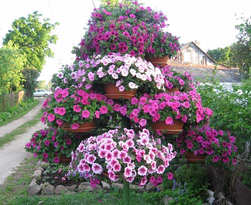 Дачный Участок — 30 идей Красивых Цветников на Даче